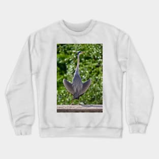 Hesitant Heron Crewneck Sweatshirt
